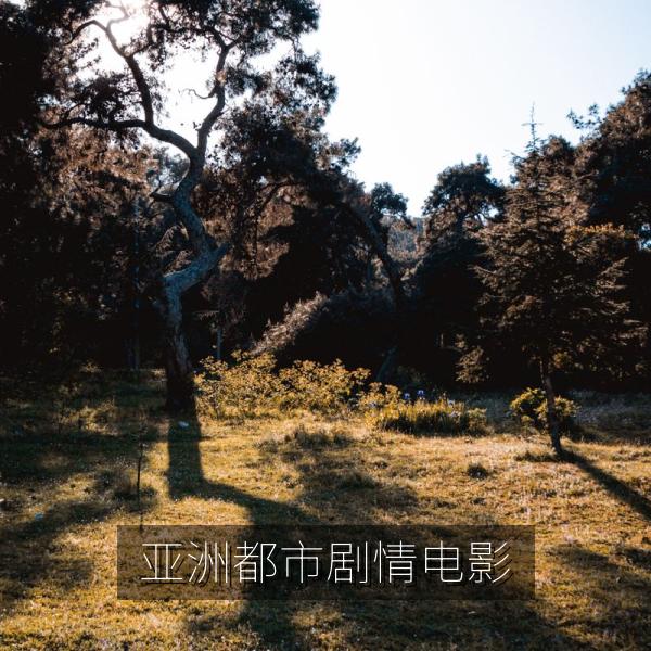 亚洲都市剧情电影海报