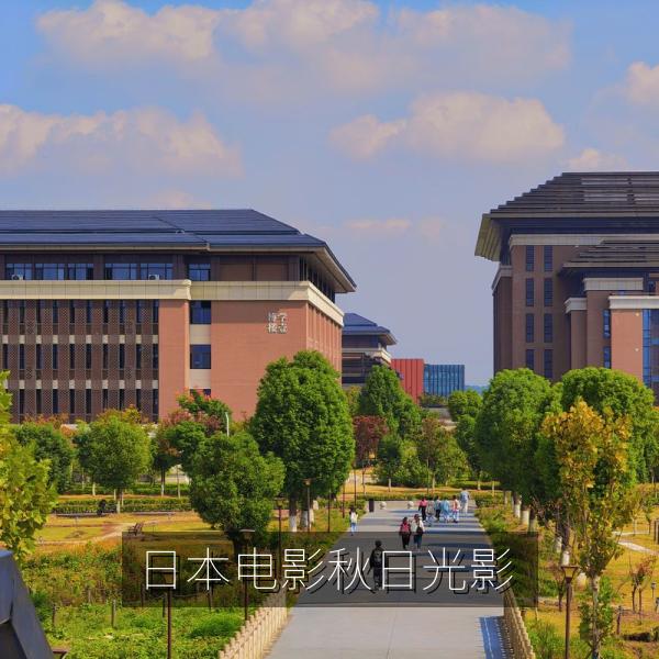 日本电影秋日光影海报