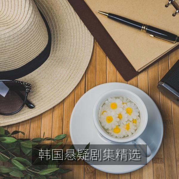 韩国悬疑剧集精选海报